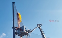 제주 패러글라이딩 40대, 야구장 그물로 이탈 사고