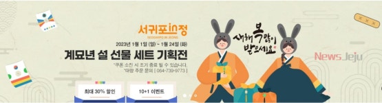 서귀포in정 설 맞이 만감류 소비촉진 특판 행사