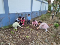 제주도서관, 청소년 열린문화공간(놀래올래) 튼튼농장 운영