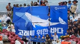 바다의 날 맞아 플로깅... 해양 포유류 지켜야