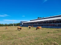 지난해 제주 축산업 조수입 약 17% 증가