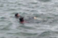 제주 한림읍 해상서 신원미상 남성 시신 발견