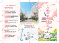 성산읍 신풍리 벚꽃터널 축제 30일 개막