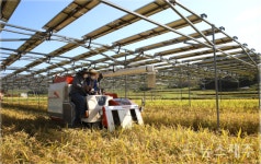 농지 태양광 논란에 위성곤 의원 화들짝 해명