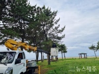 남원읍, 태흥리 벌포연대 주변 환경정비 실시