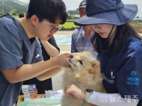 제주대 수의과대학, 섬 속의 섬 동물 의료 봉사 성황