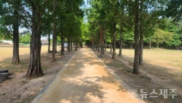 시민복지타운 광장 시설물 정비 완료