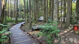 서귀포자연휴양림 하반기 시설점검 추진