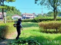 예래동, 예래 입구 삼거리 인근 환경정비 실시