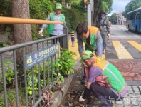 화북동 지역자율방재단, 집수구 정비