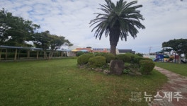 서귀포초·법환초 학교숲 조성사업 대상지 선정