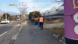 영천동, 설 맞이 환경정비 추진