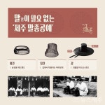 병오년 맞아 제주 말(馬)의 역사 다시 조명