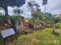쉼과 배움 품은 제주 학교숲...4월 10일까지 공모