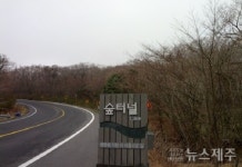 516로 명칭 변경 서귀포 주민 대상 2차 토론회 개최