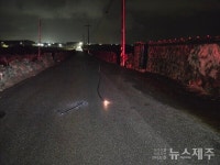 도로 한복판 고압선 스파크 번쩍…우도 229가구 밤새 깜깜