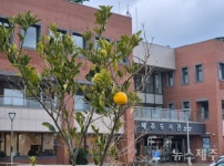 제주도서관,  6관 6색 전략 가동…학교 밀착형 독서·돌봄 확대