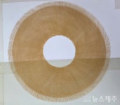 26년 외길 홍선행 씨, 제주 고분양태 보유자 인정