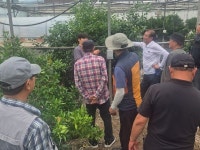 성산일출봉농협 레드향공선회, 선진농장 견학 실시