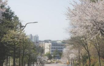 법원 