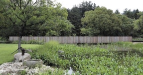 내가 만드는 정원에서는 마당을 비운다