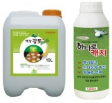 미생물+천연비료 대취제거 탁월한 효과