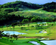 김천포도CC 운영하는 (주)다옴 실크리버CC 1300억원에 인수