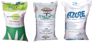 환경변화 맞춰 잔디 바꿔야···(주)덕창 신품종 라인업 대폭 강화