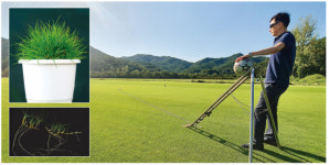 한울, 한국잔디의 전설 비단잔디 C4그린으로 부활 전국 공급체계 갖춰