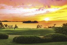 파인비치, 그린피 내리고 1년 티타임 오픈