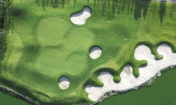 태성녹화산업(주), 이상기후·경기력·내병성에 적합한 획기적 잔디종자 엄선