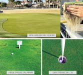 (주)덕창, 기후변화 대응 차세대 벤트그래스·켄터키블루그래스 주목