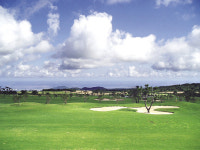 폐업한 9홀 제주힐CC 친환경 테마정원 추진