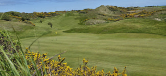 골프코스 미래의 기준점···즉흥적 프로젝트는 금물