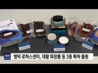 대황조해진