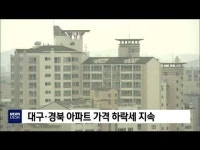 대구·경북 아파트 하락세 지속                     