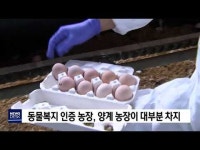 동물복지 축산농장 인증 대부분 양계 농장