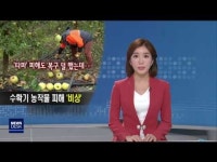 태풍 미탁 북상, 농작물 피해 비상