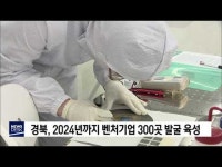경북, 벤처기업 300곳 발굴 육성