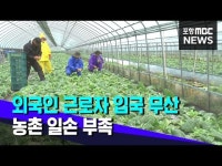 외국인 근로자 입국 무산‥농촌 일손 부족 걱정