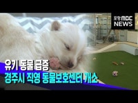 유기 동물 급증..경주시 직영 동물보호센터 개소