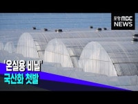 온실용 비닐 국산화 첫발‥농가 부담 경감 기대