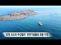 포항 오도리 주상절리 천연기념물로 최종 지정