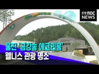 울진 금강송 에코리움..웰니스 관광 명소로