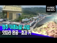 경주 어촌뉴딜 사업 효과 커