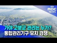 "가야 고분군 통합관리를 김해가?"..고령군 "우리가 최적지"
