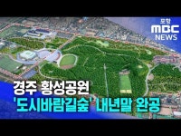 경주 황성공원 도시바람길숲내년 말 완공
