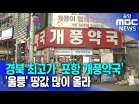 경북 최고가 포항 개풍약국..울릉 땅값 많이 올라