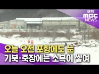 오늘 오전 포항에도 눈..기북·죽장에는 소복이