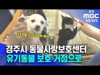 경주시 동물사랑보호센터..유기동물 보호 거점으로